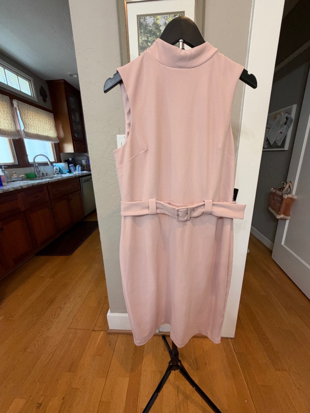 NWT Express Blush Pink Belted Mock Neck Sleeveless Sheath Dress Size LP